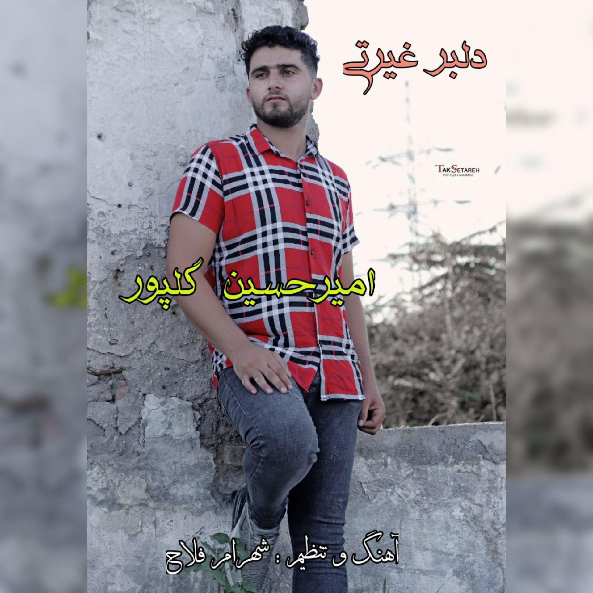 امیرحسین گلپور دلبر غیرتی